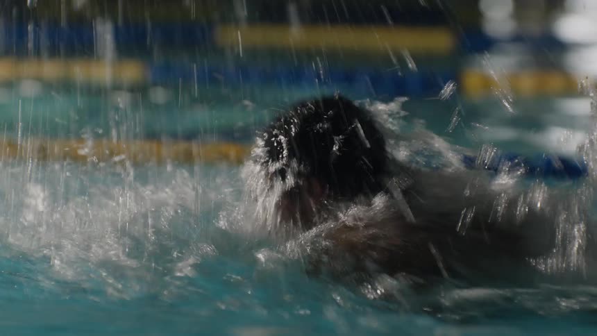 Swimmer swimming at high speed through lane in pool