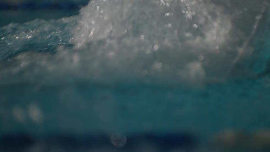 Two men respectively in their lanes swimming in the pool