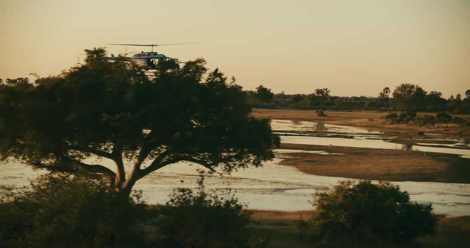 A helicopter flies over a shallow river running through a savanna