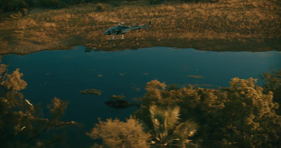 A helicopter flying over a river in a natural region with trees and vegetation