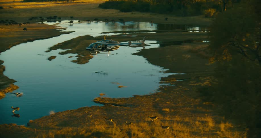 A helicopter flying over a plain with a small river while a herd of animals drink from it and antelope run and jump into it