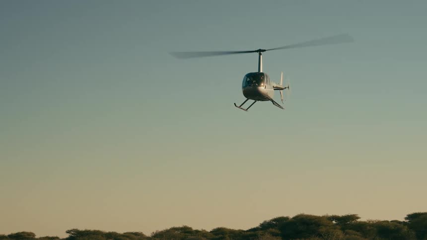 A helicopter flies over a row of trees