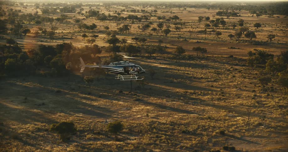 A helicopter flying over a sunlit savannah landscape