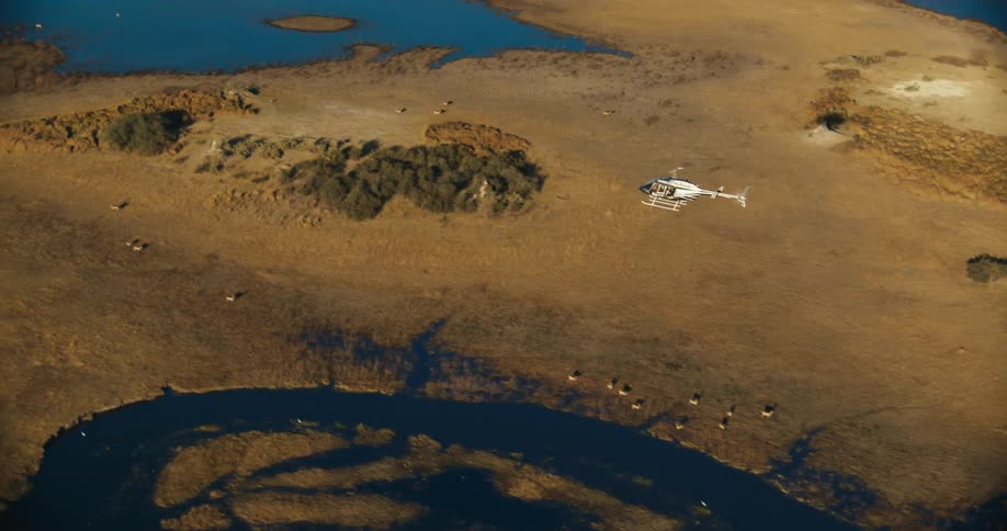 A helicopter flies over animals on a savanna dotted with bodies of water