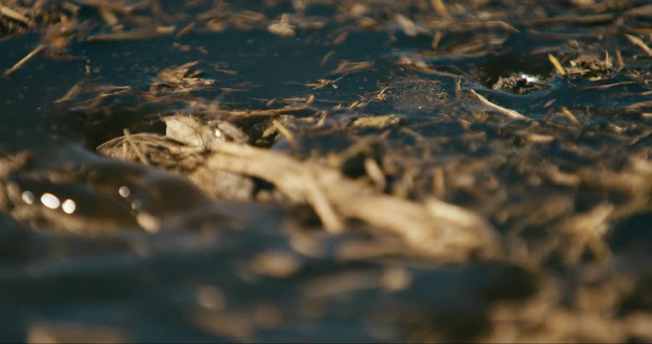 Water flowing and slowly flooding twig and grass covered soil