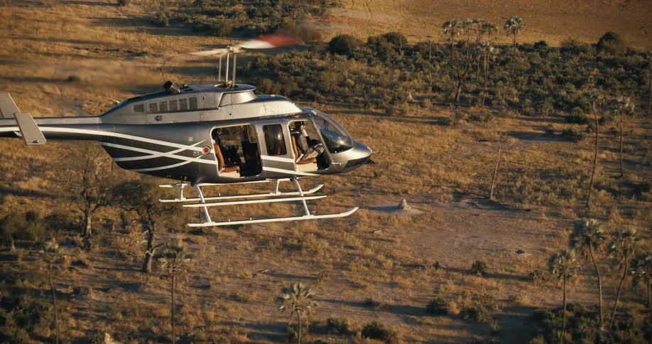 Silver striped helicopter flies over a landscape with trees and bushes illuminated by warm light