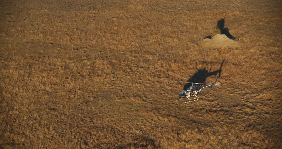 Helicopter landing on a ground with low vegetation