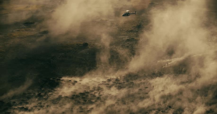 A helicopter flies over the running herd of buffaloes