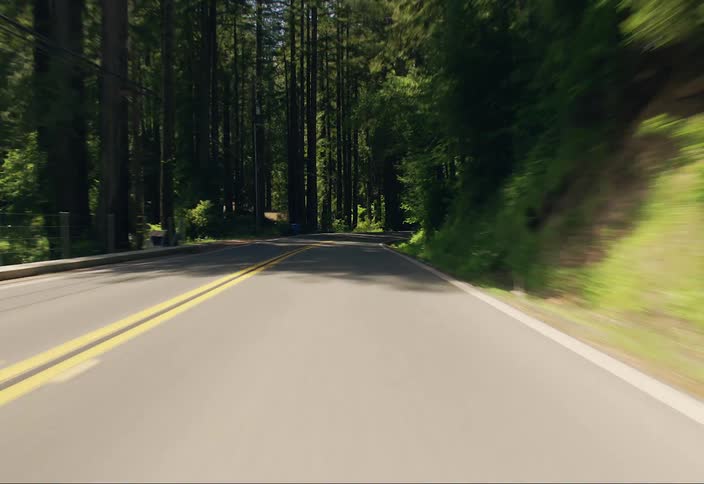 Point of view of a highway surrounded by vegetation