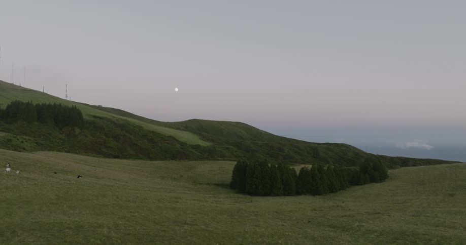 A peaceful landscape with rolling green field with a small grove of trees and a full moon hanging in the sky