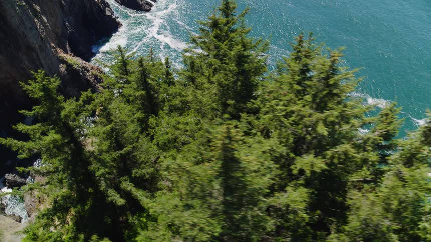 Aerial of an evergreen forest on a cliff overlooking the ocean