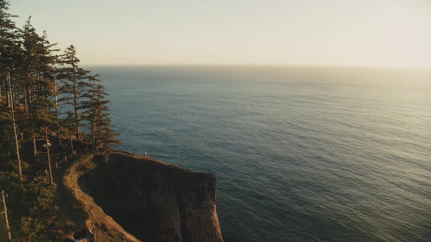 A lookout point over the sea at the edge of a forest