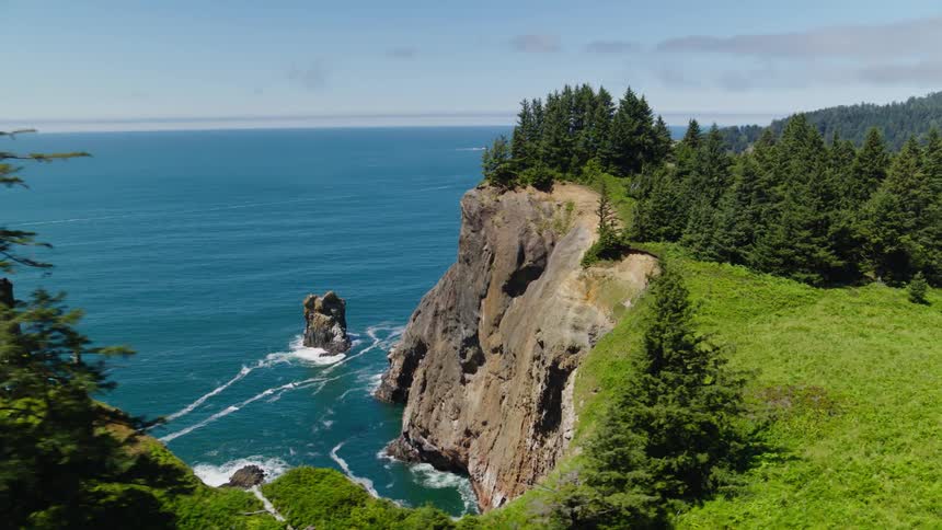 Coastal landscape with vegetation and conifers by the sea