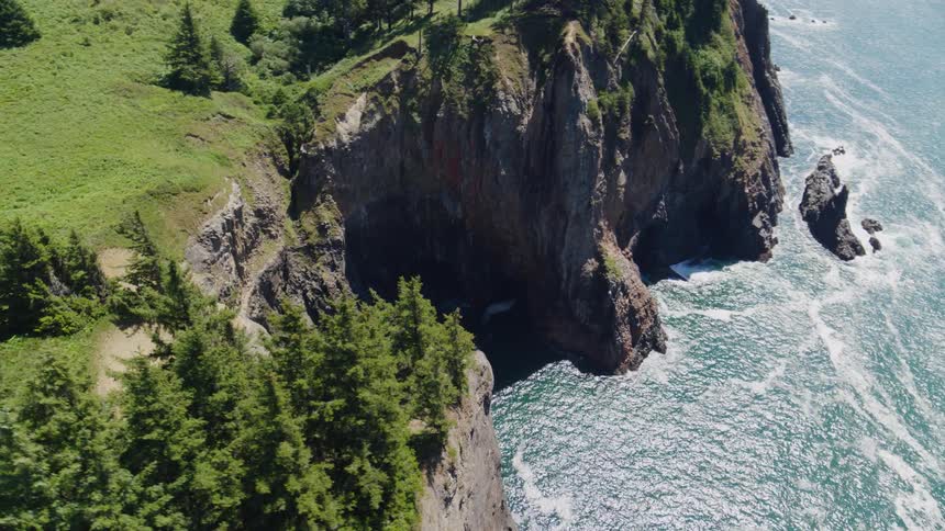 Aerial view of a rocky coastline with coniferous vegetation and seaside