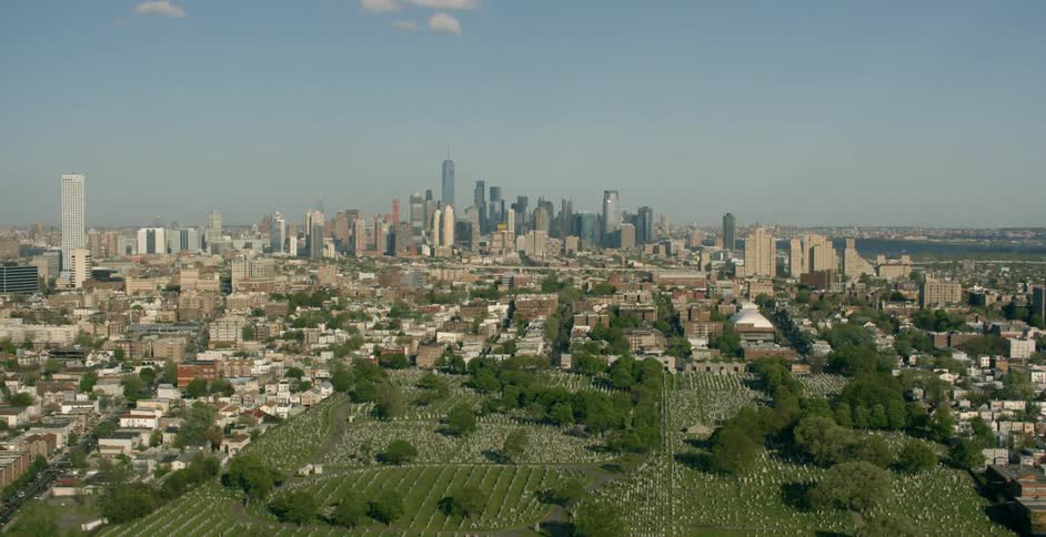 Buildings and trees near large city