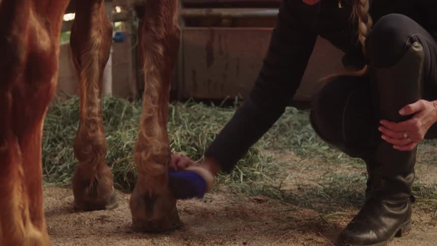 Woman in boots crouching down cleaning a horses legs