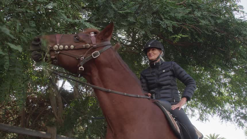 Woman wearing a helmet on top of a horse that is eating foliage from a tree