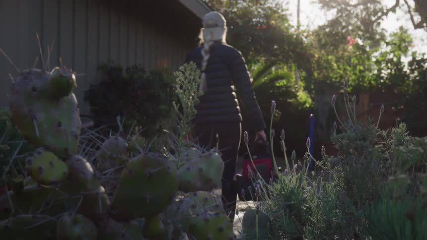 A woman walking in agarden full of plants carrying a tool bag and a dog walking next to her