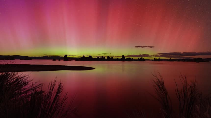 Vibrant aurora borealis over a calm body of water with the silhouette of trees on the horizon