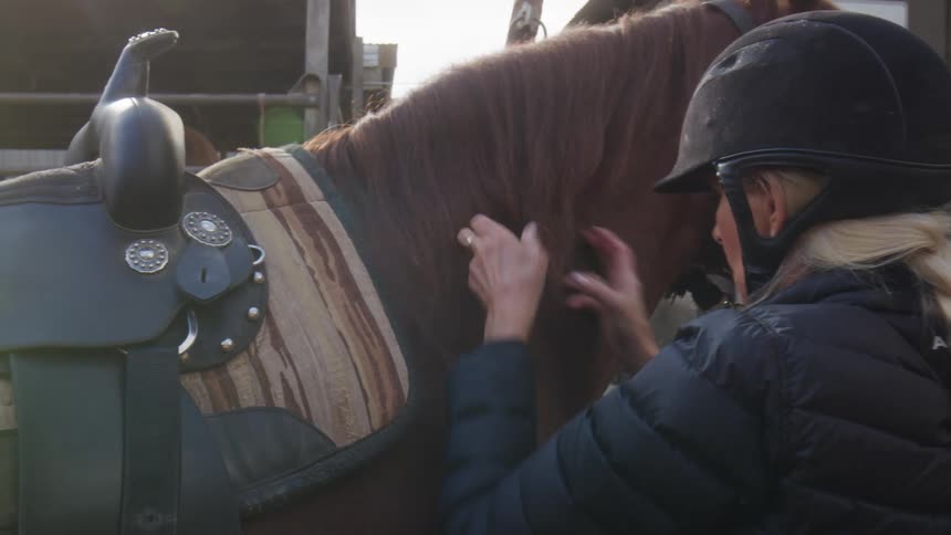 Woman wearing a helmet petting and kissing a horse
