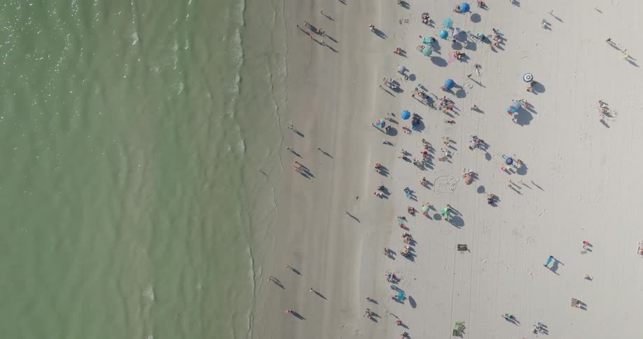 Aerial shot of a beach with swimmers on a summer day