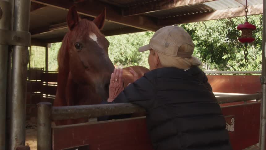 Woman petting a horse with brown fur