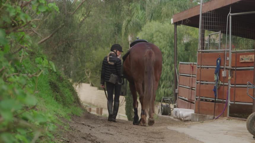 A woman walks a horse by the stables