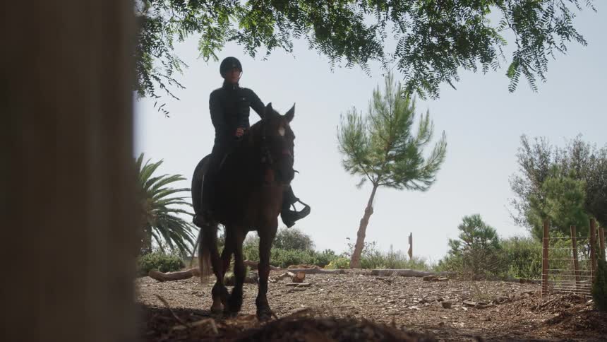 A woman slowly riding a horse in a park