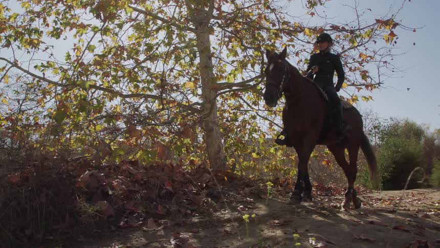Woman in helmet riding a brown horse along a trail during daytime