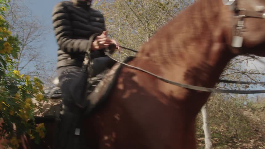 Blonde woman wearing a black coat rides a brown horse in the field