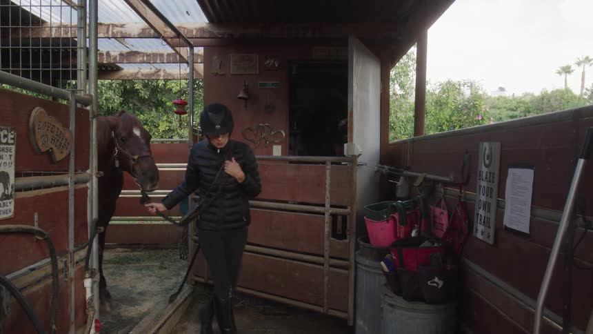 Woman in helmet guiding her brown horse