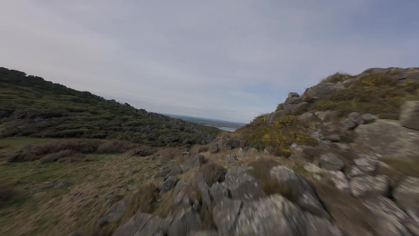 Aerial FPV view of a rocky hillside covered in greenery and yellow flowers leading to a valley