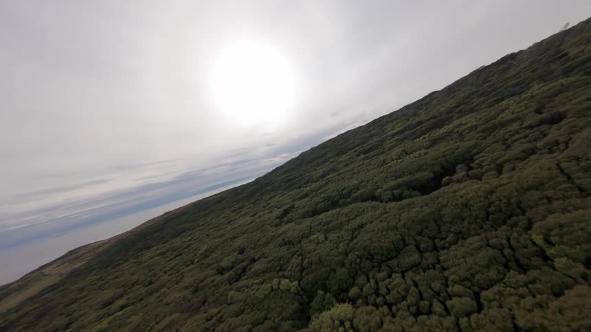 FPV drone across an ancient dense forest has many green trees the ocean in the distance