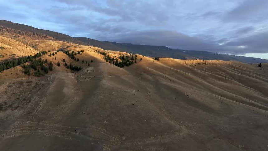 An aerial view captures rolling hills with patches of green and brown at sunrise