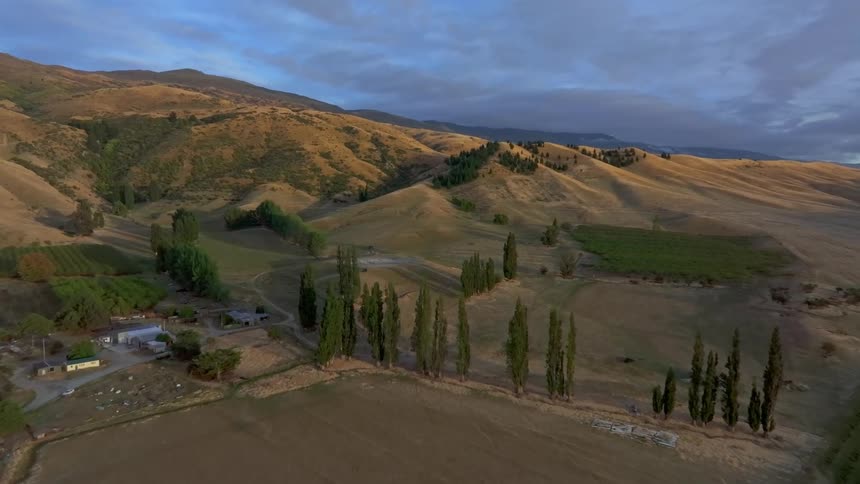 Aerial panorama of agricultural fields and tall poplar trees surrounded by hills at sunrise