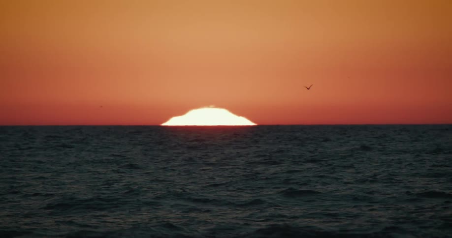A bird flies over the ocean at sunrise