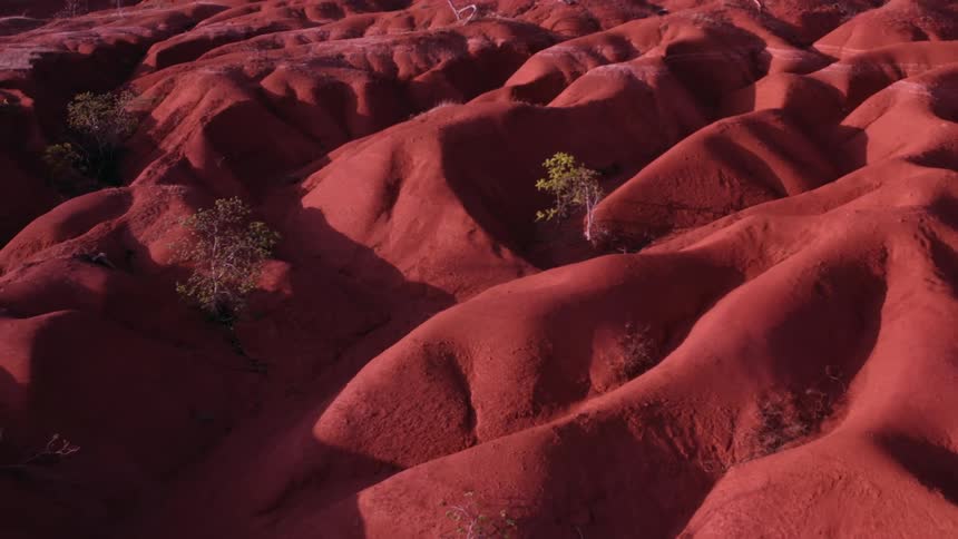 Eroded red soil with sparse vegetation forming small ravines and ridges