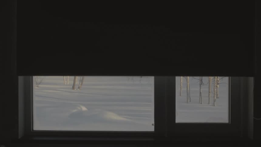 View from the window of a house overlooking a snowcovered field and leafless trees