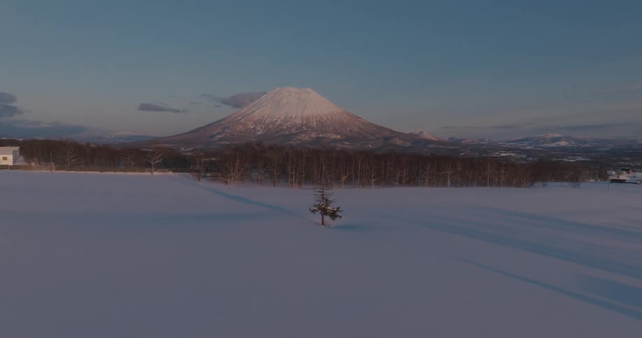 Aerial view of a snowcovered terrain with a mountain in the background