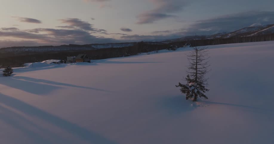 Landscape of a snowy ground with mountains and trees around
