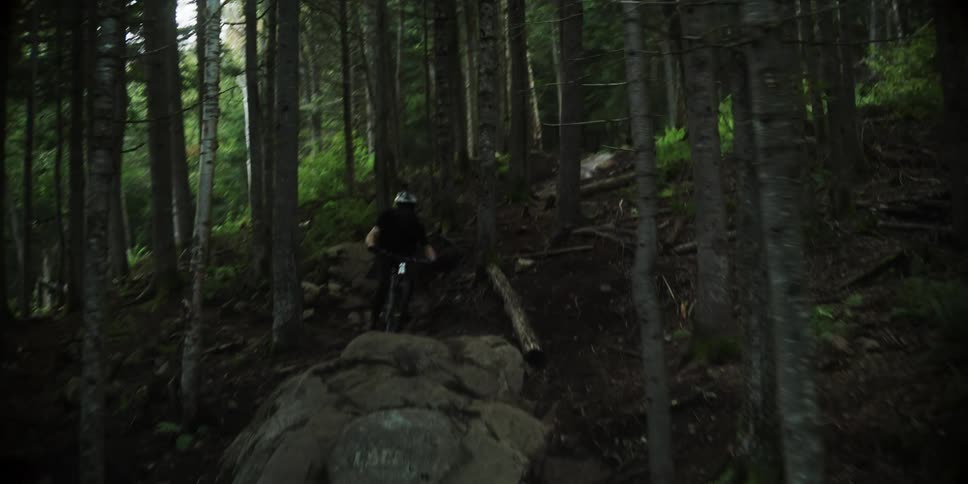 Man riding a mountain bike on a forest trail