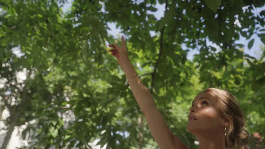 A woman reaches up towards the branch