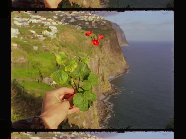 A person holds flower by the cliff