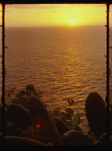 Landscape of cacti in the foreground on the seashore with a golden sun on the horizon