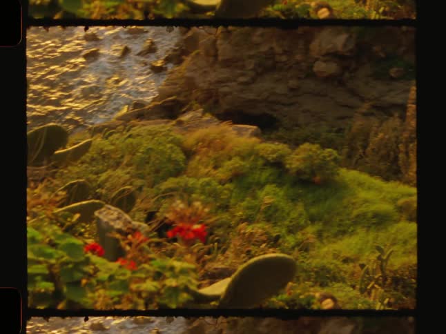 Reflection of the sun in a body of water surrounded by rocks and flowering vegetation