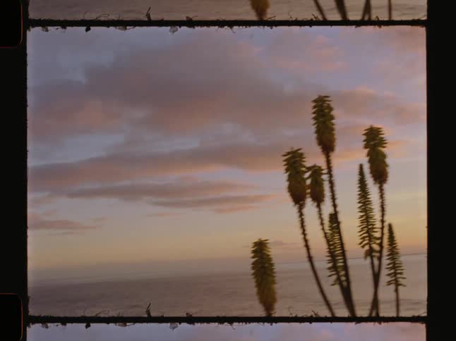 Landscape of a beach with the sky in shades of purple and gold at dawn
