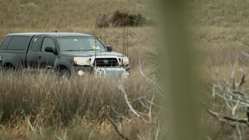 A black truck driving through a field with high grass
