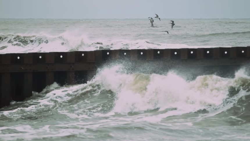 Rough waves rolling ashore as birds fly just above them