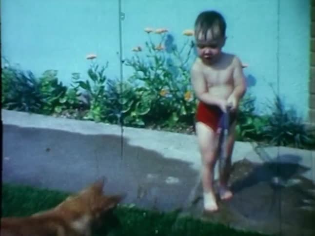 Little boy and dog playing with a hose