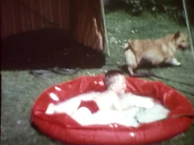 Little boy plays in a red pool with dog